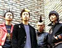 photo de Stance Punks